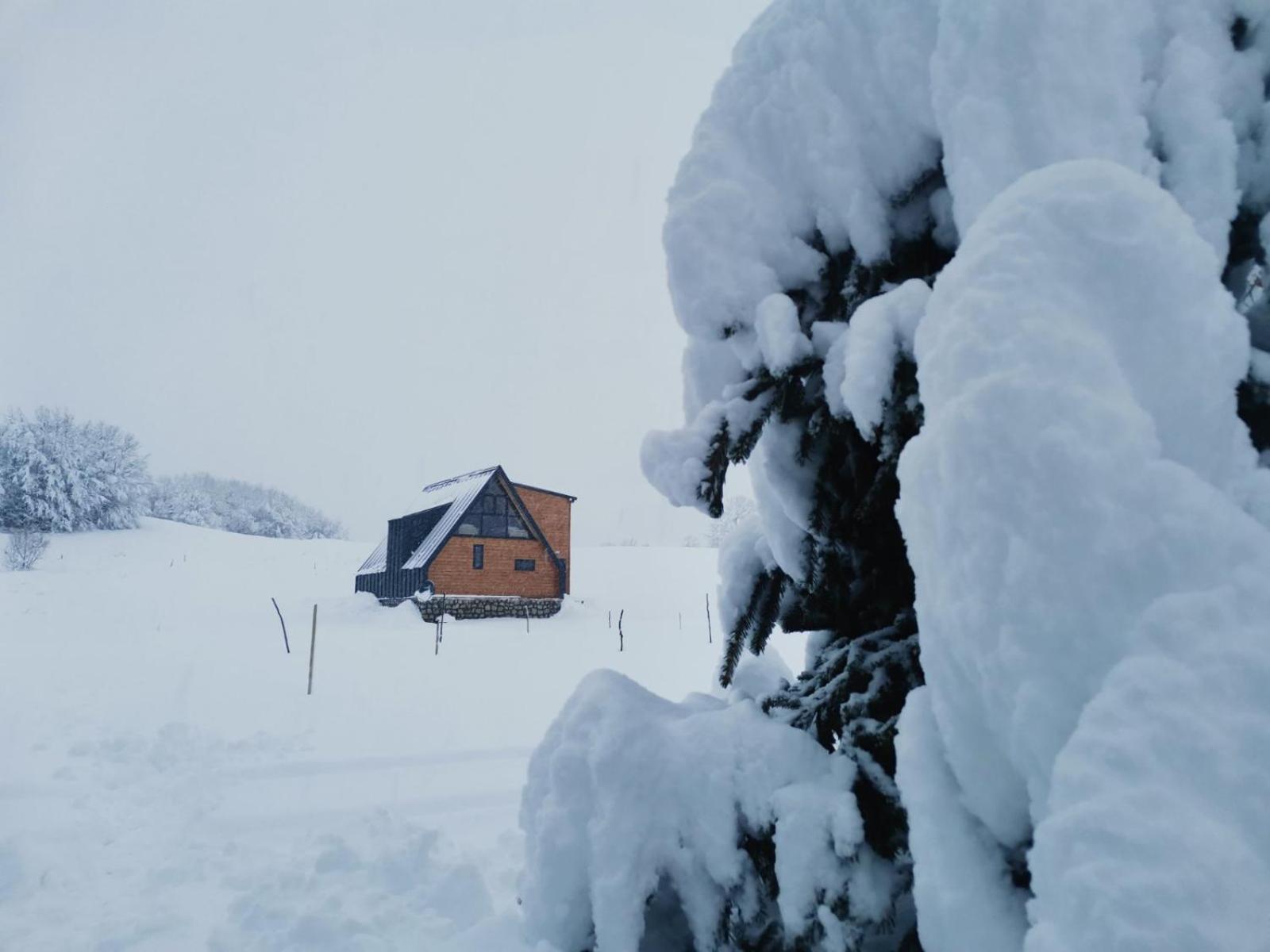 Durmitor Sunset Villa Zabljak  Bagian luar foto